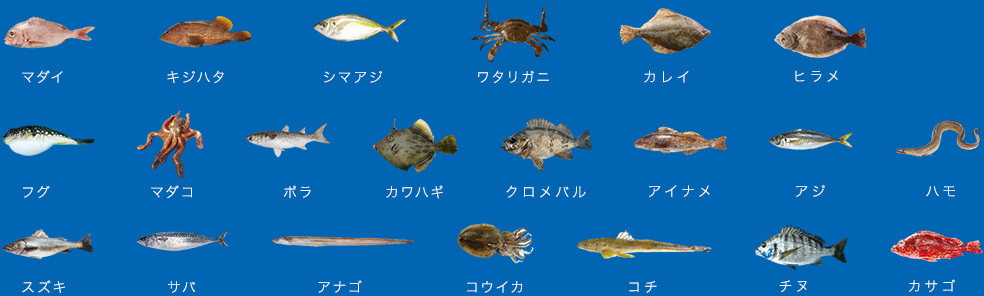 使用できる魚種