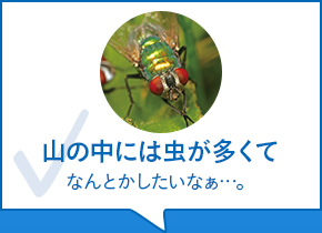 山の中には虫が多くてなんとかしたいなぁ…。