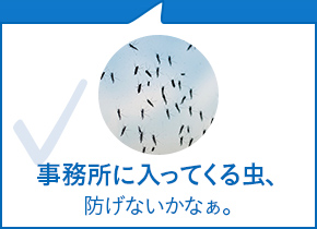 事務所に入ってくる虫、防げないかなぁ。