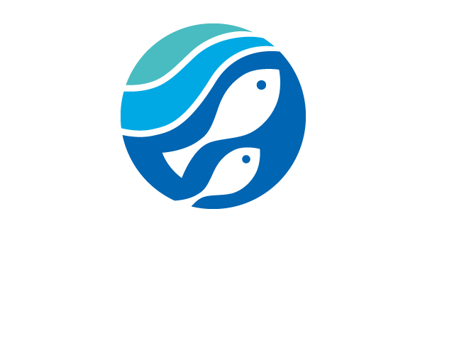 大阪活魚センター そこでしか食べられないさかなの価値を届ける 大阪から全国へと広がる 活魚流通の新拠点