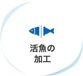 活魚の加工